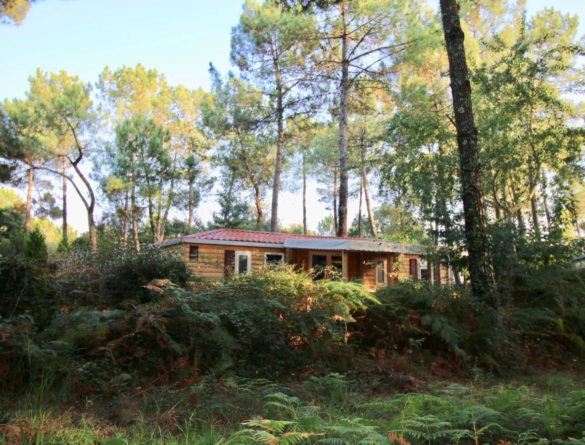 Espace Blue Ocean Camping